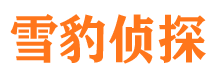 商都市侦探